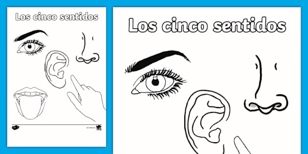 sentido de la vista para niños