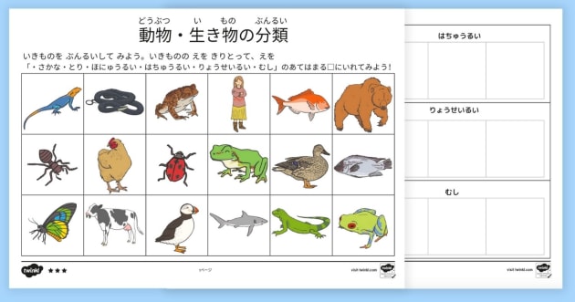 動物分類学30講 動物分類学30講 / 馬渡 峻輔【著】 - 紀伊國屋書店ウェブ