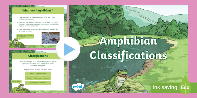 https://images.twinkl.co.uk/tw1n/image/private/t_630/image_repo/0c/ef/ni-g-1637061702-amphibian-classifications-powerpoint_ver_1.jpg