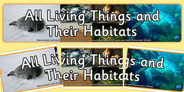 All Living Things And Their Habitats Photo Display Banner