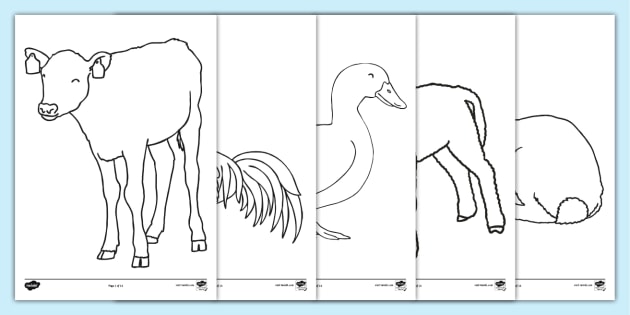 Farm Animal Coloring Sheets (Black & White, A4) - Twinkl