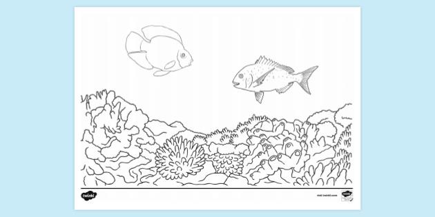 coloring pages kids coral reef free