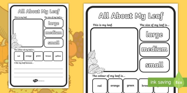All About My Leaf Worksheet / Activity Sheet