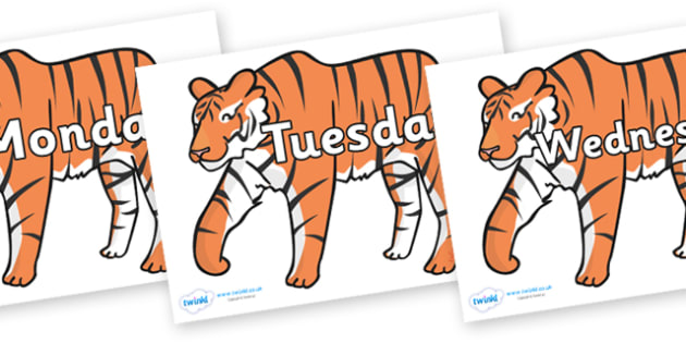 Days of the Week on Tigers