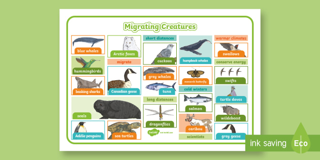 Migrating Creatures Word Mat (teacher made) - Twinkl