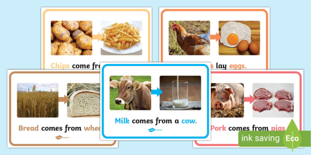 Where Does Food Come From? Farmyard Pictures | Twinkl