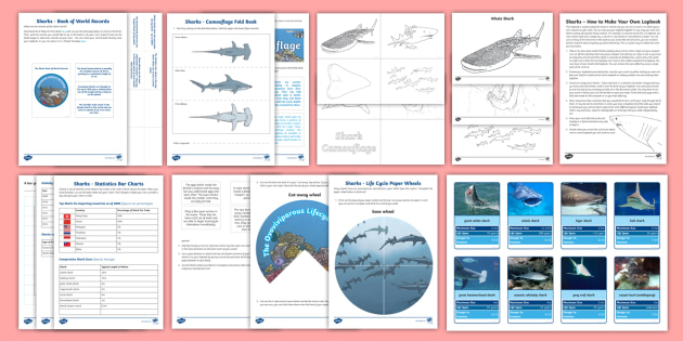 FREE! - Sharks Lapbook | Primary Resources (teacher made)