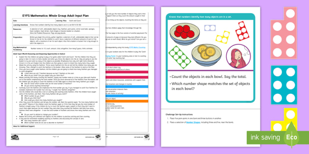 Eyfs Maths Catch And Count Group Activity Adult Input Plan