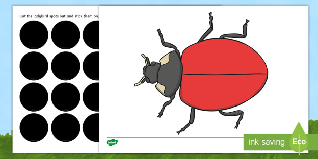 rounded corners included Details about   Numbers 0-10 OR 0-20 on ladybirds counting spots 