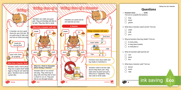 How to Care for Your Hamster