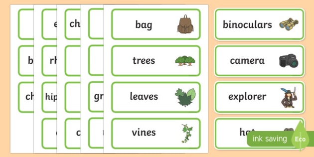 African Jungle Explorers Role Play Word Cards