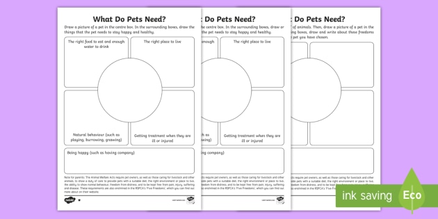 what-do-pets-need-differentiated-worksheet-teacher-made