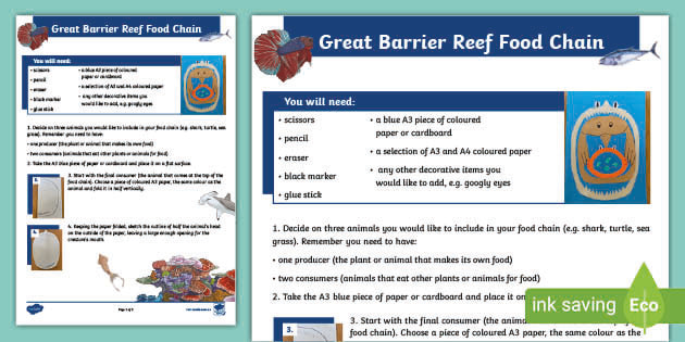 Great Barrier Reef Food Chain Craft Activity Biology Diagrams