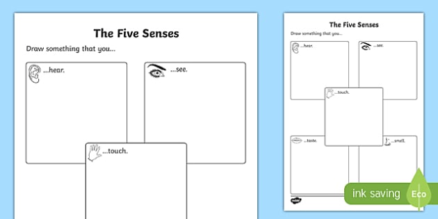 t t 252933 the five senses drawing activity sheet ver 4