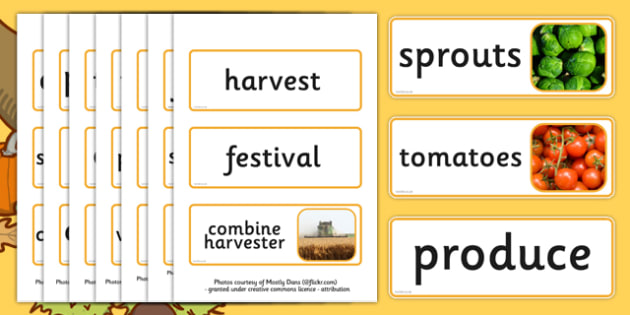 Harvest Topic Word Cards - Word Card, Flashcard, Flashcards, Harvest 