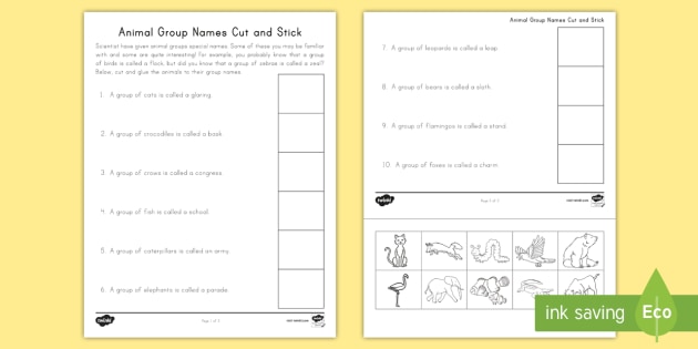 Animal Group Names Cut and Paste Activity (teacher made)