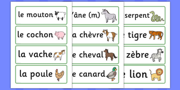 T T 2382 French Animal Word Cards_ver_1