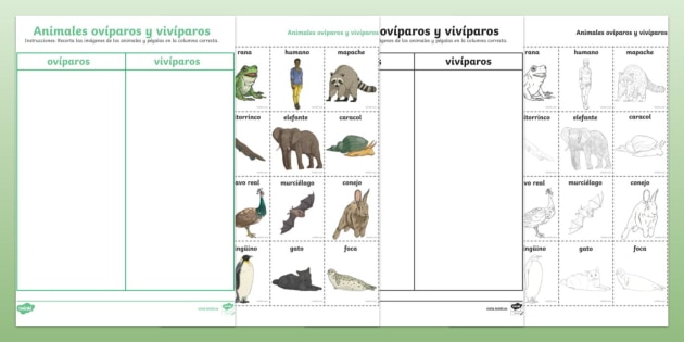Lista Animales Ovovivparos Animales Ovíparos, Vivíparos Y
