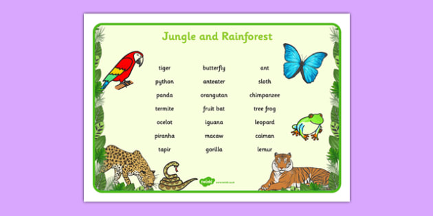 FREE! - Jungle & Rainforest Word Mat (Text Version)