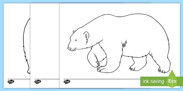 Polar Bear Outlines Teacher Made