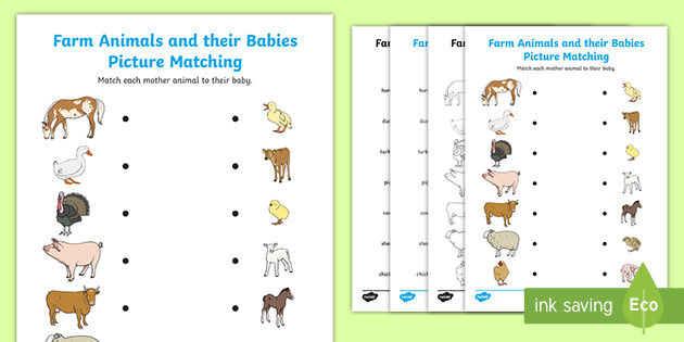 Farm Animals and Their Babies Matching Worksheet | Ages 5–7