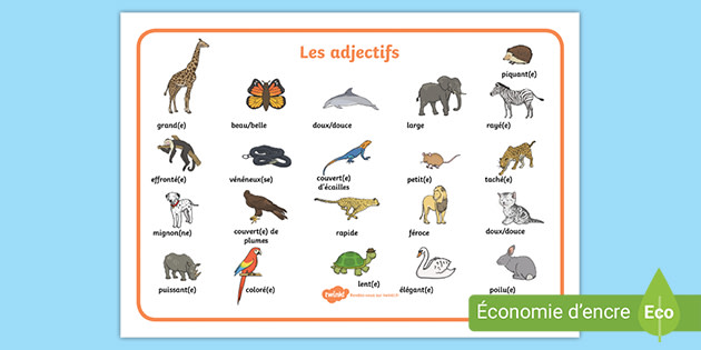 Sous Main De Vocabulaire Les Adjectifs Teacher Made