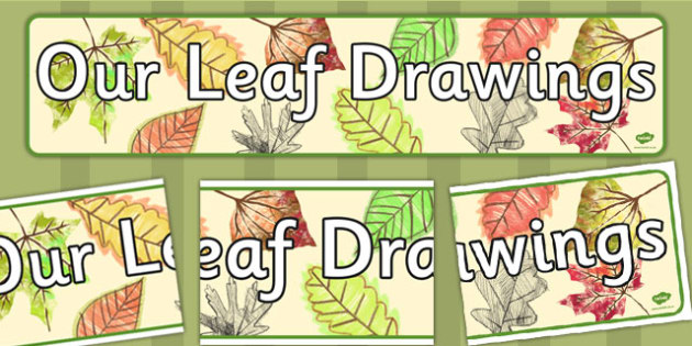 Our Leaf Drawings Display Banner Autumn Banners Displays