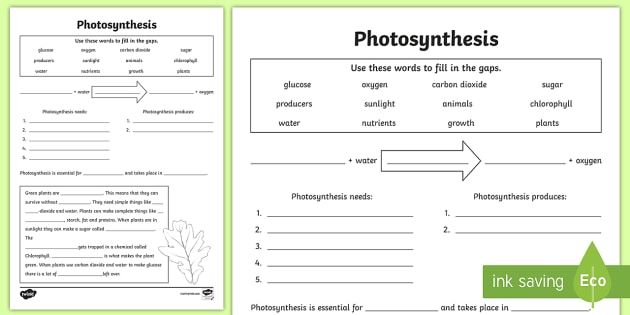 assessment handwriting ks2 plants, Worksheet Photosynthesis growth photosynthesis,