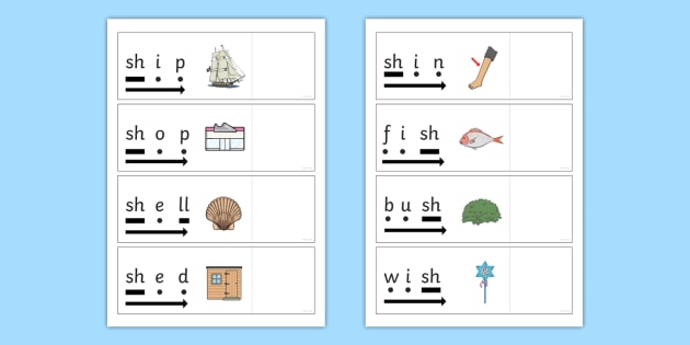 phase 3 sh read and reveal activity