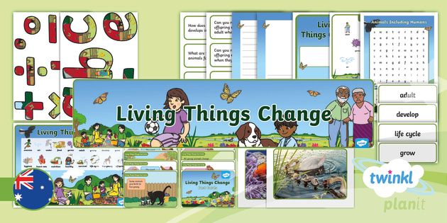 year 2 science living things change additional resources