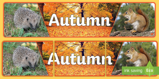 Autumn Photo Display Banner Teacher Made