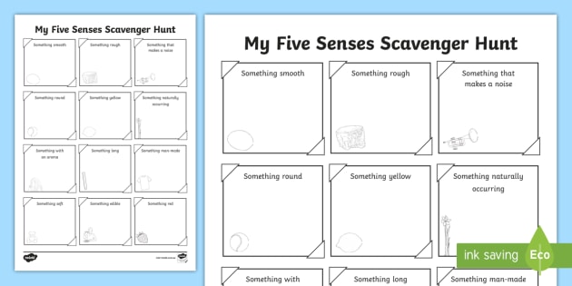 Five Senses Scavenger Hunt (teacher made)