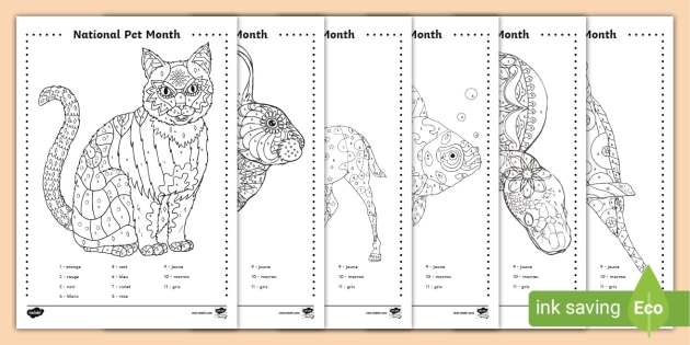 👉 French: National Pet Month - Colour by Number Sheets KS2