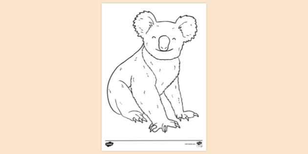 Koala　Cut-Out　FREE!　Colouring　Koala　Cute　Page　Template