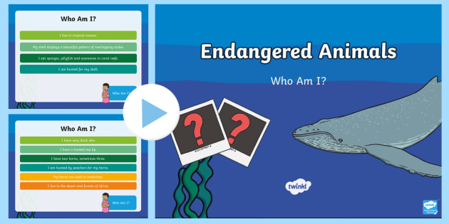 Endangered Animals Who Am I? PowerPoint - KS1 - Primary Resource