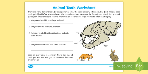 Animals and Their Teeth | Animal Teeth KS2 Worksheet