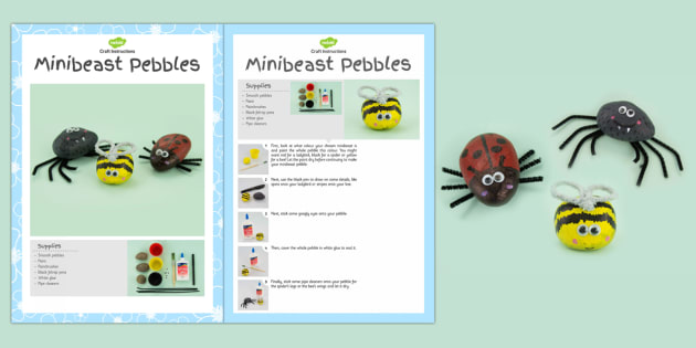 Minibeast Pebbles Craft Instructions (teacher made)