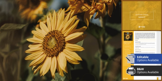 Sunflower Poetry Project Teaching Pack Lesson 2