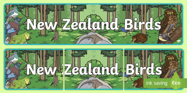 New Zealand Birds Banner Aotearoa Native Birds Extinct Year 1
