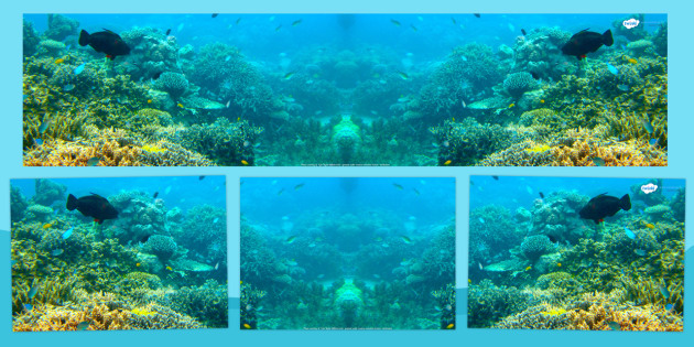 Under the Sea Photo Small World Background (teacher made)