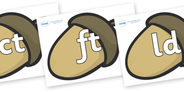 precursive final letter blends on brown acorns