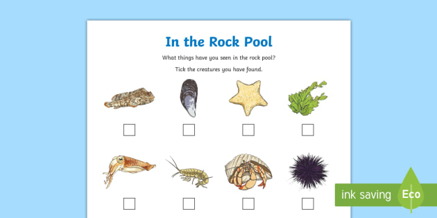 in-a-rock-pool-checklist-worksheet-worksheet