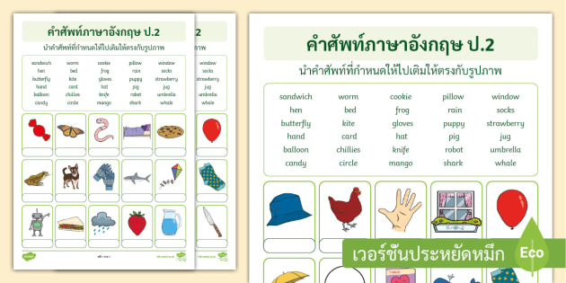 แบบฝึกหัดคำศัพท์ภาษาอังกฤษ ป.2 - Vocabulary Worksheet