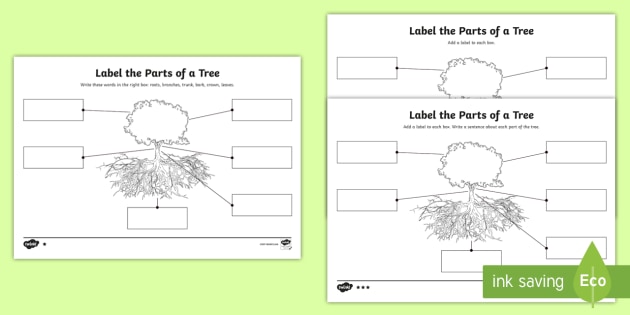 30 Label Tree Parts Labels For Your Ideas