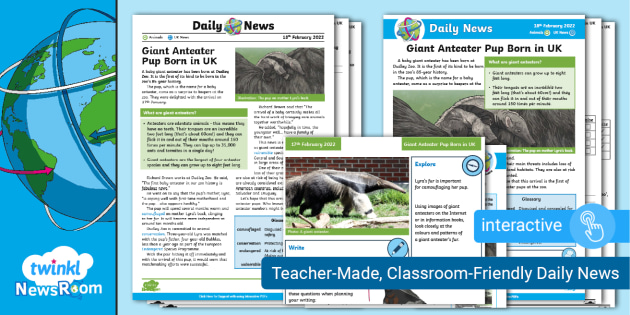 News for Kids - Giant Anteater Pup Born in UK (ages 7-11)