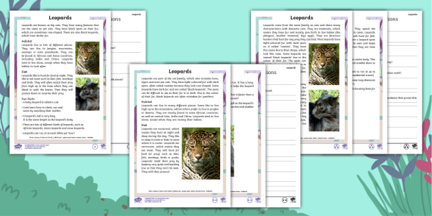 year 2 reading comprehension pdf worksheets primary