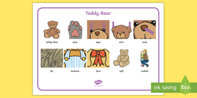 Teddy deals bear description