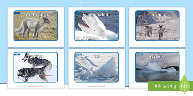 Polar Regions Display Photos - Polar Lands For Kids - Twinkl