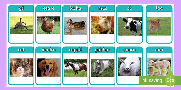 Ar an bhFeirm, Mothers and their Young Matching Cards Gaeilge