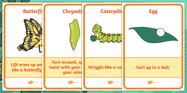 Cody the Caterpillar's Life Cycle Movement Activity Display Posters